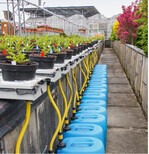 Versuchsanlage zur Messung der ausgewaschenen Wasser- und Nährstoffmengen im TeiGa-Projekt