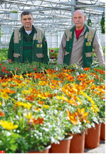 Olaf (links) und Eike Schröpfer haben die Gärtnerei kurz nach der Wende von ihren Vätern übernommen.