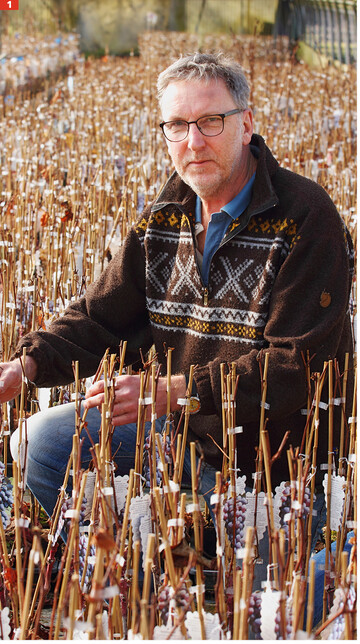 In dritter Generation hat Hartmut Schmidt die 1922 gegrndete Baum- und Rebschule 1990 von seinem Vater bernommen.