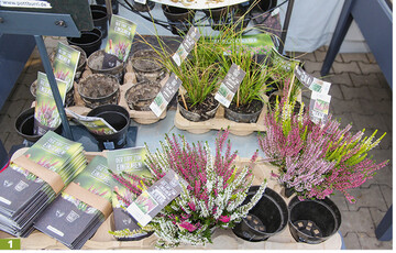 Der biologisch abbaubare Pottburri" auf Basis von Sonnenblumenschalen.