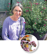 Ute Ruttensperger: Wer mit offenen Augen durch die Pflanzenbestände geht, sieht, an welchen Pflanzen sich die Insekten tummeln, und kann diese Beobachtungen an Kunden weitergeben."