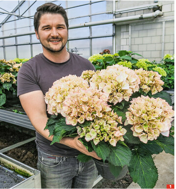Geschftsfhrer Daniel Willi mit Kanmara" Champagner.