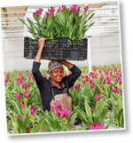 Die LVG wurde 1995 von Lourens van Geest gegründet