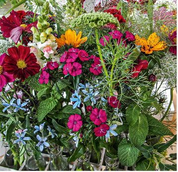 Sortimente waren groes Thema auf dem Straelener Schnittblumentag 2019.