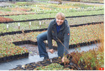 Staudenmeisterin Nadiya Siebert-Pachenko liebt ihre Arbeit bei Lohhof Stauden.