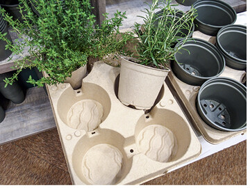 Papiertpfe und -Trays von Desch Plantpak sind beispielsweise fr Topfkruter optimal.