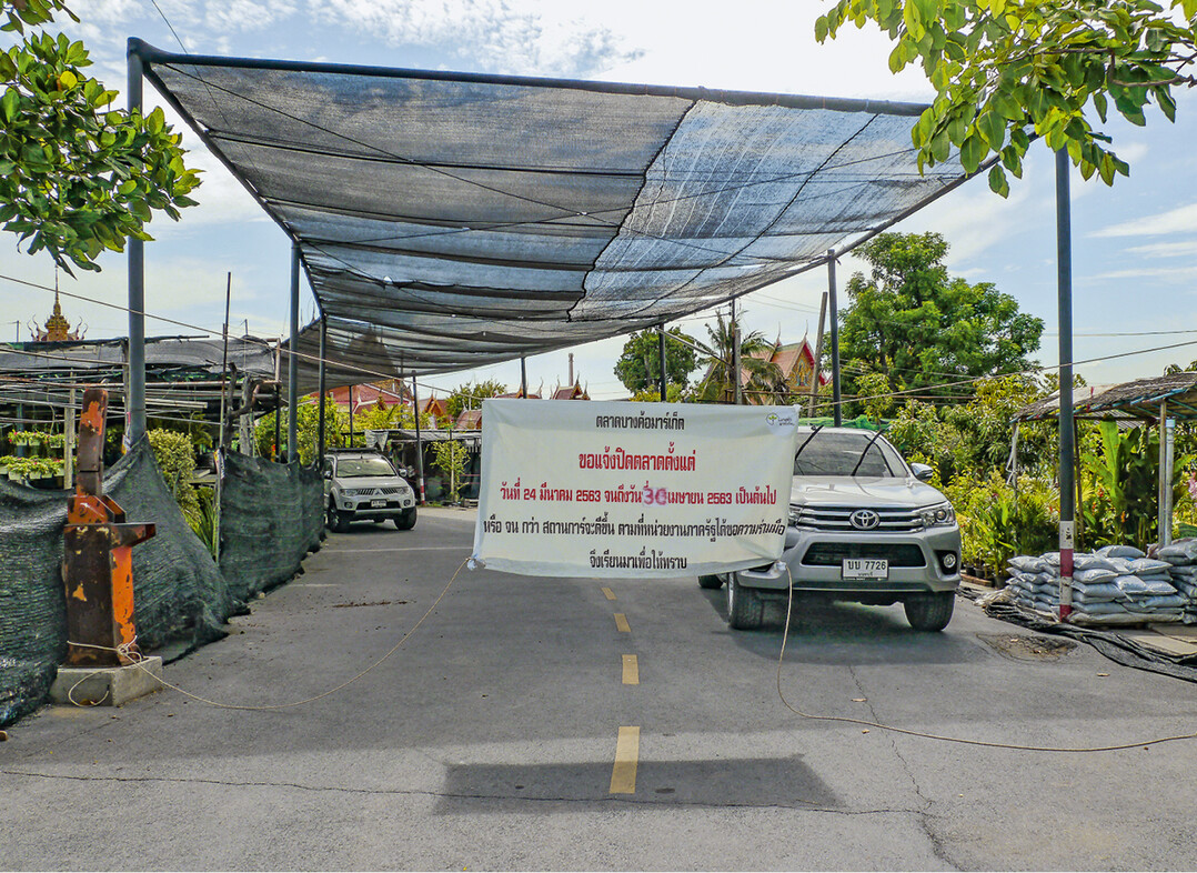 Seit Anfang April wurden auch alle Pflanzenmärkte in Thailand für vier Wochen geschlossen.