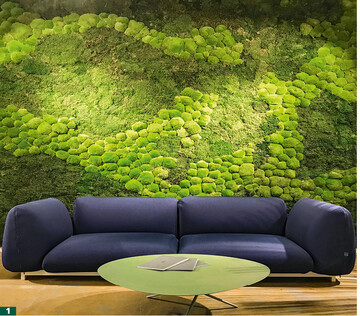 Eine Wand mit „Wildem Moos" im Showroom am Schottenring in Wien.