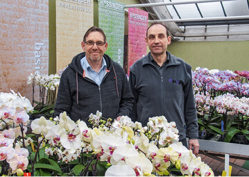 Die Brder Hans (links) und Roland Hassinger sind fasziniert von Orchideen.