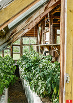 Auf dem Hof wurde der alte Hühnerstall um ein Anlehngewächshaus ergänzt. Der Raum wird für die Anzucht genutzt.