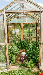 Der Nachwuchs hilft mit.