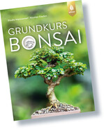 Grundkurs Bonsai
