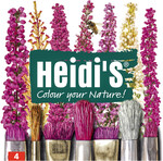 Für die Marketinglinie der bunten Eriken zeichnet Richard Petri, RiPlant, verantwortlich.