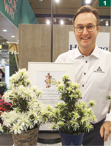 Die Weihnachtsazalee MagicSnow Winter Beauty stellt eine wirklich innovative Pflanze dar, Stefan Laridon freut sich über die Prämierung.