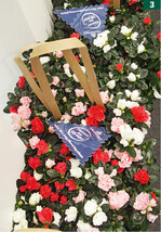 Bunte Hortinno"-Azalee in einer praktischen Transport- und Verkaufstüte.