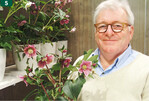Thierry van Paemel züchtet <em>Helleborus </em>in großer Farbvielfalt.