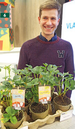 Wouter David produziert Erdbeeren unter dem Konzept Zero Plastic".