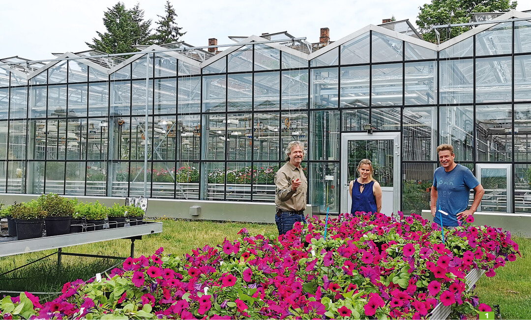Das BioVitro-Team vor einem vergleichenden Pflanzenbestand im Sommer 2020 (von links): Dr. Heiner Grneberg, Diana Helbig und Dr. Patrick Grieger.