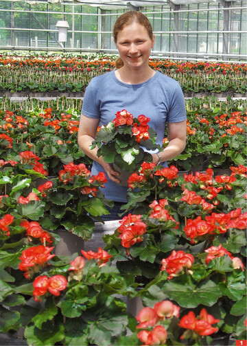 Daniela Hoffmann hat den Produktionsbetrieb der Eltern bernommen, die Hauptkultur Begonie ist geblieben.