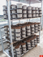 Die grauen Pöppelmann-Töpfe sind recycelbar.