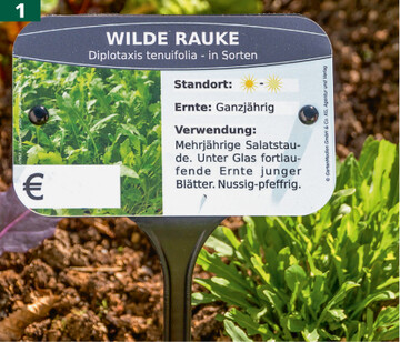 UV-stabile Sortenschilder SSG für den gärtnerischen Bereich jetzt neu mit flexibler Wechselmimik.