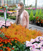 Die Maskenpflicht ist notwendig, hat sich aber nicht als Einkaufshemmnis erwiesen.