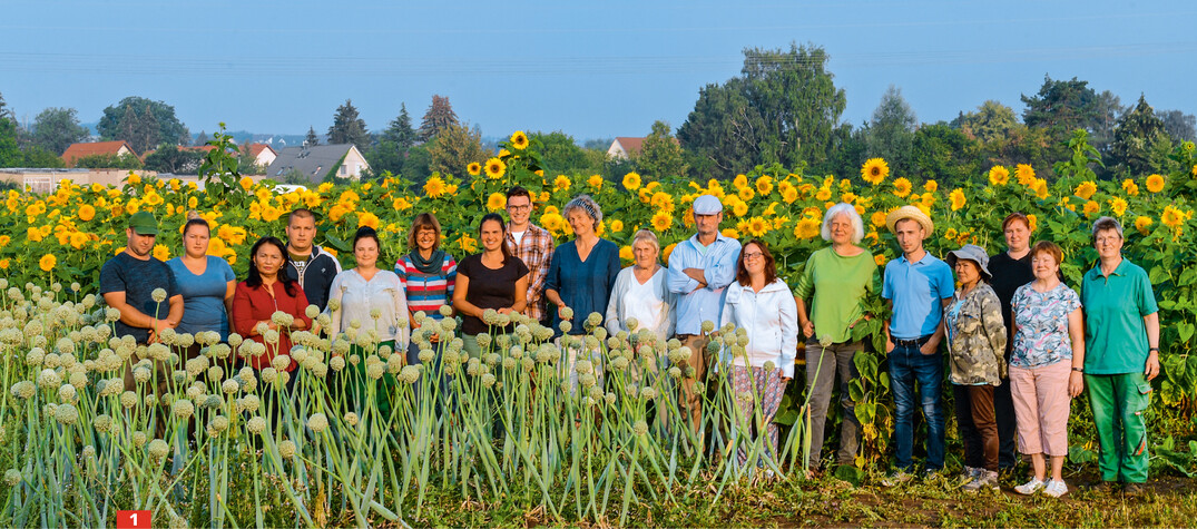 Mit seinen deutschen, rumnischen, serbischen und thailndischen Wurzeln ist das Team von Saatzucht Rose hnlich vielfltig wie die Kulturen.