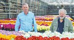 Verkaufsleiter Jeroen de Kuijer (links) und Jürgen von den Driesch führten durch das Chrysanthemen-Sortiment bei Brandkamp.