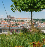 Gartenplanung gehört auch ins Portfolio von Jan Kocourek: hier eine mitgestaltete Dachterrasse.