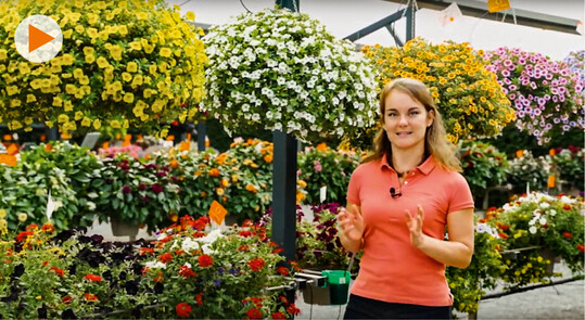 CLAUDIA ARNDT: Nach einer Grtnerausbildung
und einem Studium Produktionsgartenbau & Pflanzentechnologie arbeitet sie bei Dmmen
Orange und leitet dort mittlerweile ein Team von sieben Mitarbeitern.   