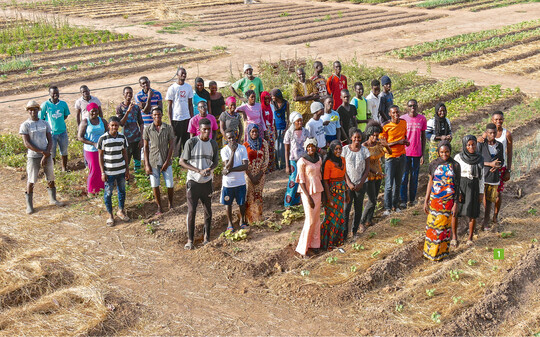  Im September 2019 startete das Projekt: 20 Mdchen und 20 Jungen werden in vielen Bereichen des Gartenbaus ausgebildet. 