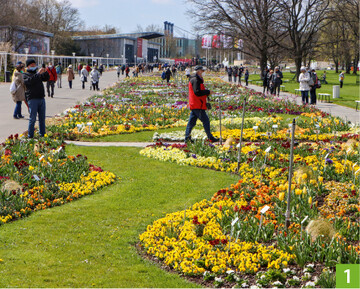 Das grte gestaltete Blumenbeet mindestens Europas zieht sich entlang der Hauptachse im ega-Park.