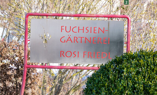  In den Achtzigerjahren machte sich die Fuchsienliebhaberin mit einer Grtnerei selbststndig. 