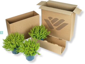  Mit einer neuen Transportverpackung fr Pflanzen stellt sich Floramedia auf den immer strker zunehmenden Versandhandel ein. 