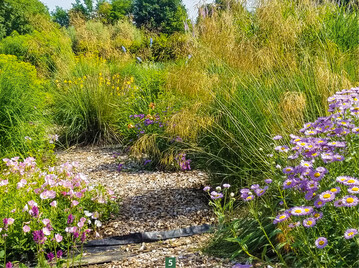  Die Grtnerei vermittelt im Schaugarten die Schnheit von Staudenpflanzungen. 