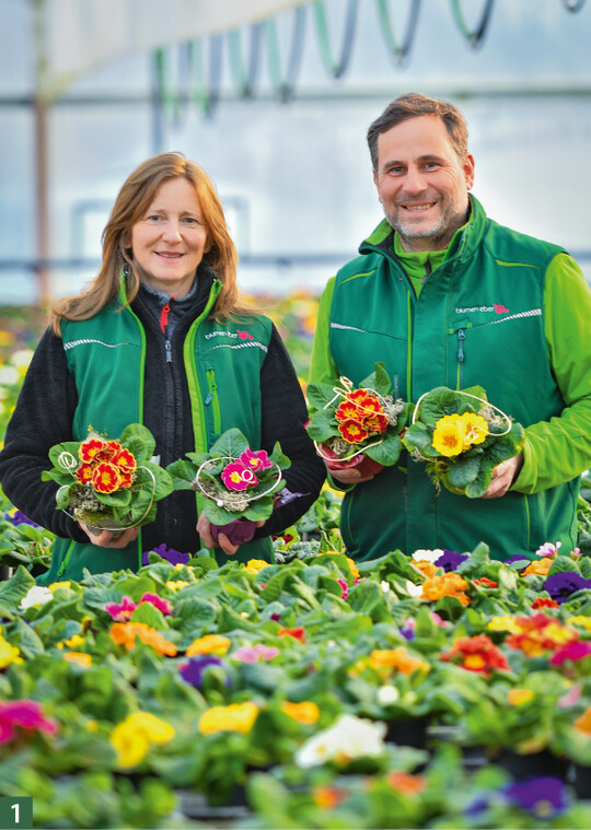 Isabell Eber und Bernd Hdl whrend der Primel-Aktion 2020.