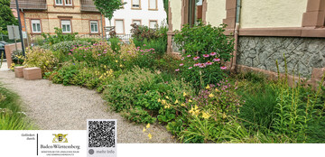 Das Projekt wird finanziert im Rahmen des Sonderprogramms zur Strkung der biologischen Vielfalt des Landes Baden-Wrttemberg. Weitere Infos siehe QR-Code!