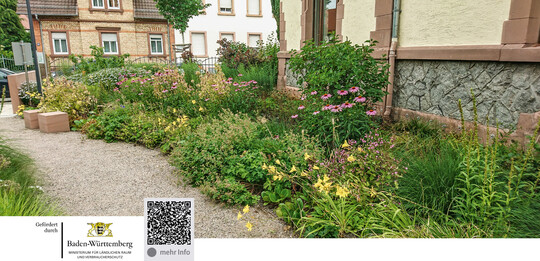 Das Projekt wird finanziert im Rahmen des Sonderprogramms zur Stärkung der biologischen Vielfalt des Landes Baden-Württemberg. Weitere Infos siehe QR-Code!
