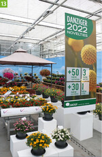 Danziger 2022": Das Poster des großen israelischen Züchtungs- und Jungpflanzenunternehmens macht deutlich, dass es bei den Sortenschauen um den Blick nach vorne geht. Unser Experte Oliver Mathys hat notiert, dass ihm Petunia Capella Hello Yellow unter den zahlreichen Neuheiten besonders aufgefallen ist.