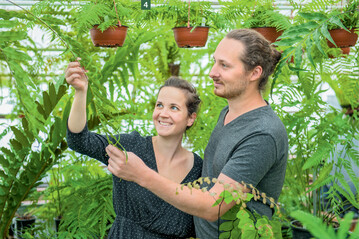  Ihre Liebe zu den Farnen hat Maria und Michael Schneider, beide Anfang 30, zu Quereinsteigern und Pflanzenproduzenten gemacht. 