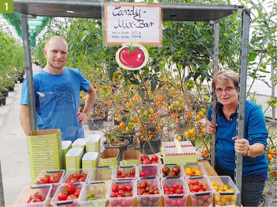   Eike und Christiane Zech setzen auf das erfolgreiche Kundenevent der bunten Tomaten-Selbsternte. 