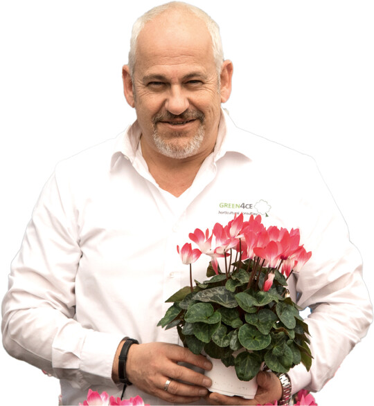 Kulturberater Eric Forschelen: „Die ersten Wochen entscheiden ber den Kulturerfolg mit Cyclamen."