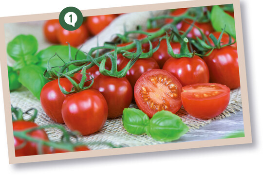 Die Kirschtomate ‘Rubylicious’