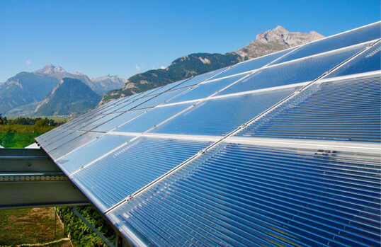  Pflanzenproduktion unter Agrivoltaikanlagen statt unter Glas oder Folie bringt zustzlichen Stromertrag. 