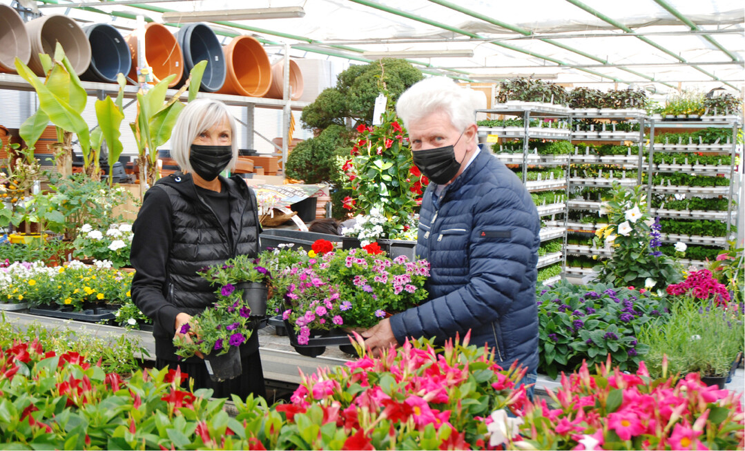 Trotz Maskenpflicht war das Einkaufen in Verkaufsgewchshusern weitgehend entspannt und stressfrei.