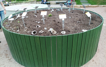 Auf der BUGA 2021 in Erfurt wurde eindrucksvoll gezeigt, wie sich biologisch abbaubare Materialien auf dem Komposthaufen im Garten zersetzen.