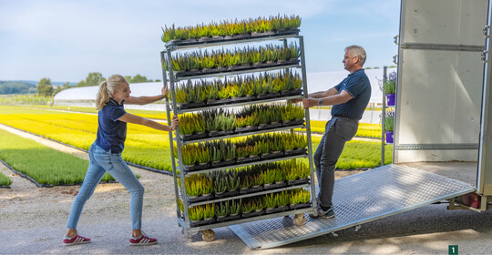 „We can Green” – Grtner fr Grtner: ber ihre Handelsfirma bieten Catharina Nill und ihr Vater Bernhard Nill fr Kollegen seit wenigen Jahren auch die Leistungen eines Grohandels fr Gartenbaubedarf.