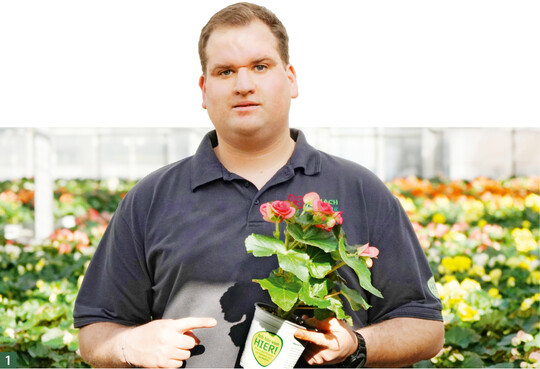 Wir mssen bestndig neue Dinge ausprobieren", meint der 27-jhrige Marcel Gerlach, der auf dem Blumengromarkt in Mannheim die Ich bin von HIER!"- Produkte des Familienunternehmens verkauft.