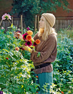 Imke Glaser liebt Schnittblumen.