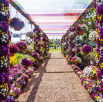 Die „FlowerTrials" zeigen neue Pflanzen ebenso wie kreative Ideen, diese zu präsentieren.